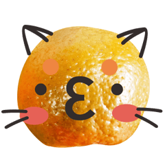Orange Orange cat Of your oranges