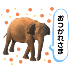 From.S_20201026233714