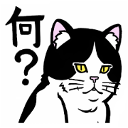 FAT CAT !