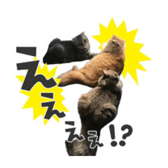 REi_20201026205043
