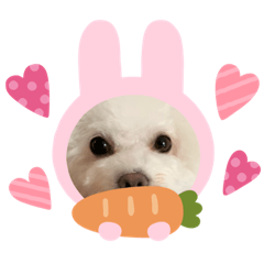 yukari_20201026203440