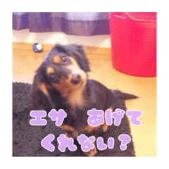 Princess aoi_20201026195915