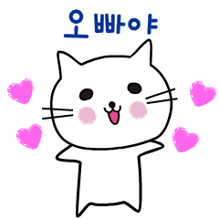 Cute Korean Cat