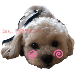 suzu_20201027122546