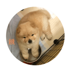 我愛熊熊熊熊