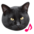 なめ猫 なめんなよ Line スタンプ Line Store なめ猫 なめんなよ Line スタンプ Line Store