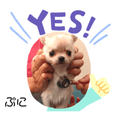 NamiOchiai_20201026224634