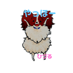 papillonstamp(hiduru)