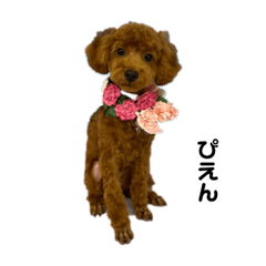 Kaito_20201027154352