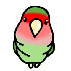 Peach-faced lovebird fan