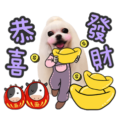 哇哇公主2021年。新年快樂❤️拜年專用圖
