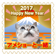 2017 NEW YEAR. ASH 2017 NEW YEAR. ASH