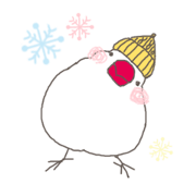 white Java sparrow (event of winter) white Java sparrow (event of winter)
