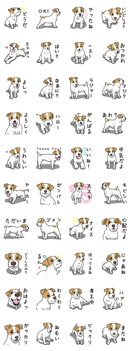 Wanko-Biyori JRT-Jack Russell terrier Wanko-Biyori JRT-Jack Russell terrier