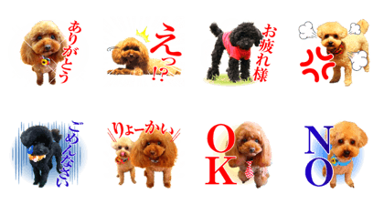 Myumyu&Chris&Taylor Myumyu&Chris&Taylor