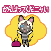 siamese cat girl siamese cat girl