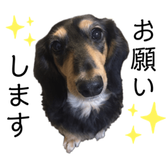 From.S_20201028012658