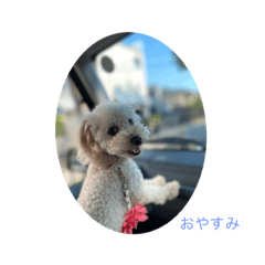 Tommy_20201028075304