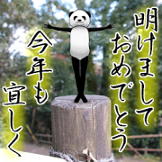 a man called PANDA soto a man called PANDA soto