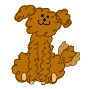 Long legs Toy Poodle. Long legs Toy Poodle.