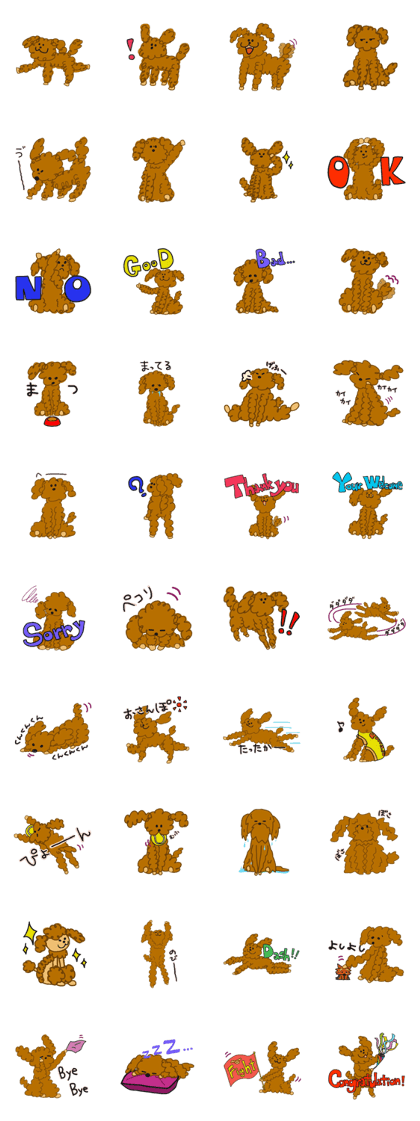 Long legs Toy Poodle. Long legs Toy Poodle.