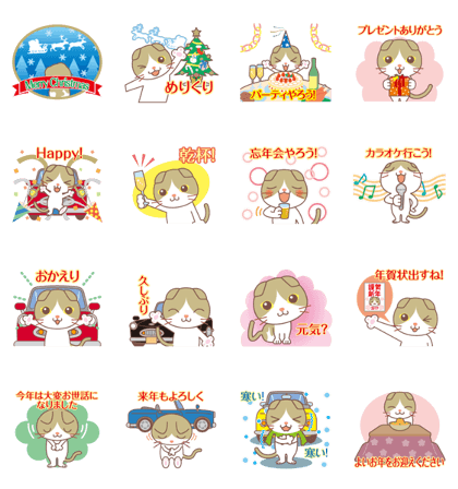 End of year. Round facial Scottish Fold