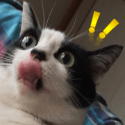 A good friend.....chami~na