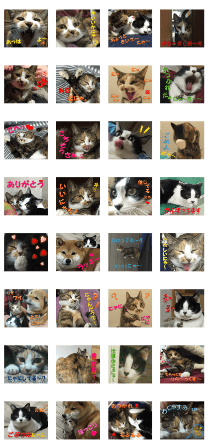 A good friend.....chami~na