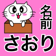 Very cute cat of Saori