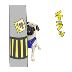 Hana_20201027203940