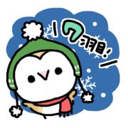 Mamefuku of barn owl7