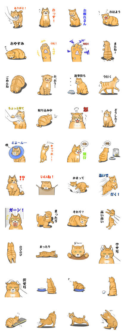 Cat Extra Pounds Cat Extra Pounds