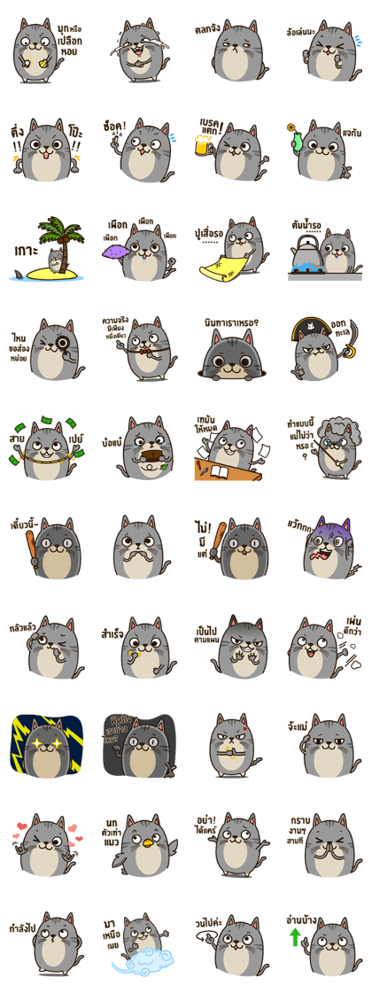 Salid This Funny Cat