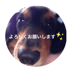 yukina_20201028031512