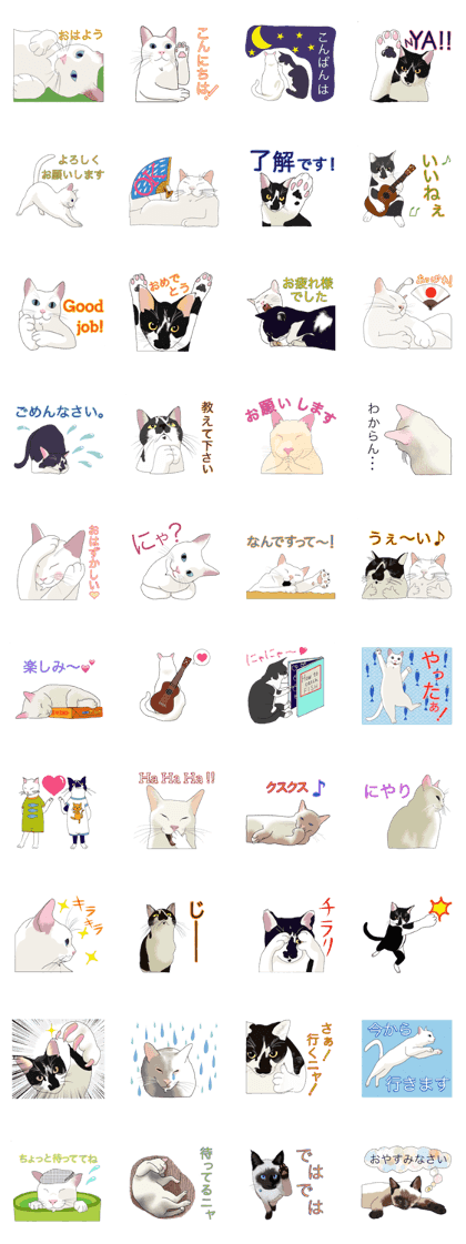 teku-teku MARCONEKO teku-teku MARCONEKO