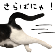 Qoo&Fuku The Cats 4 Qoo&Fuku The Cats 4