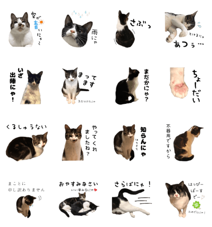 Qoo&Fuku The Cats 4 Qoo&Fuku The Cats 4