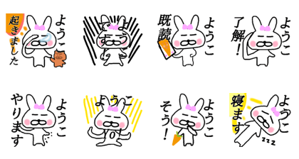 My name is Youko My name is Youko