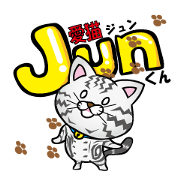 My sweet cat JUN My sweet cat JUN