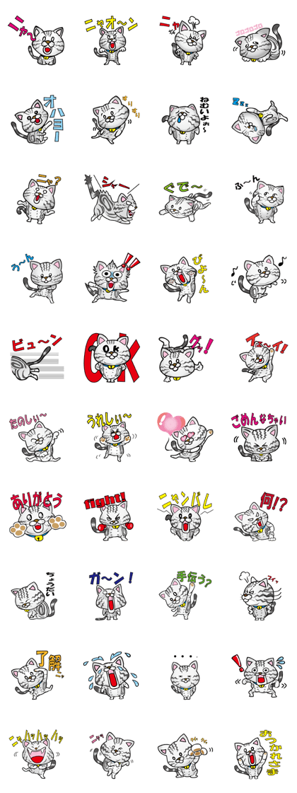 My sweet cat JUN My sweet cat JUN