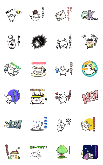 Cute little pig Shiro chan