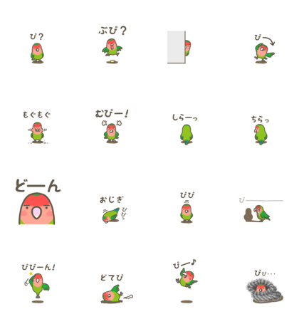 Agapornis roseicollis Agapornis roseicollis