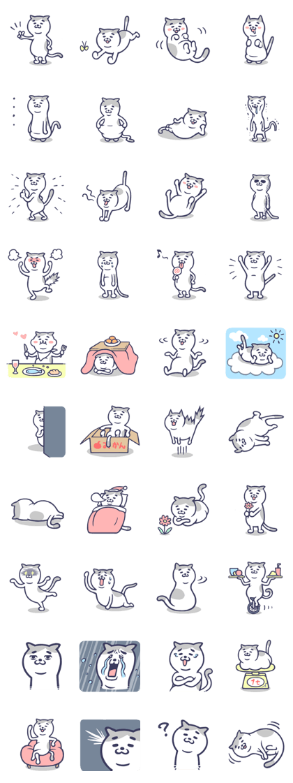 Middle-aged roundcat Middle-aged roundcat