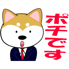 Shiba dog is a company employee
