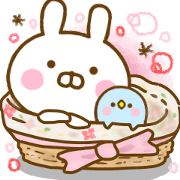 Rabbit Usahina Cute Adult Rabbit Usahina Cute Adult