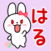 The white rabbit with ribbon for "Hal" The white rabbit with ribbon for "Hal"