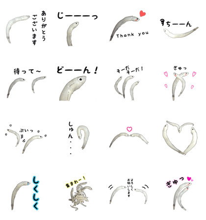 Shirasu sticker Shirasu sticker