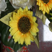 Gaga scenery photos Gaga scenery photos