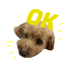 mash._20201028143613