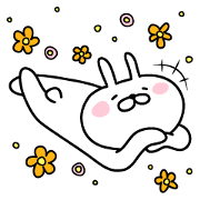 Bunny lying down Taiwan